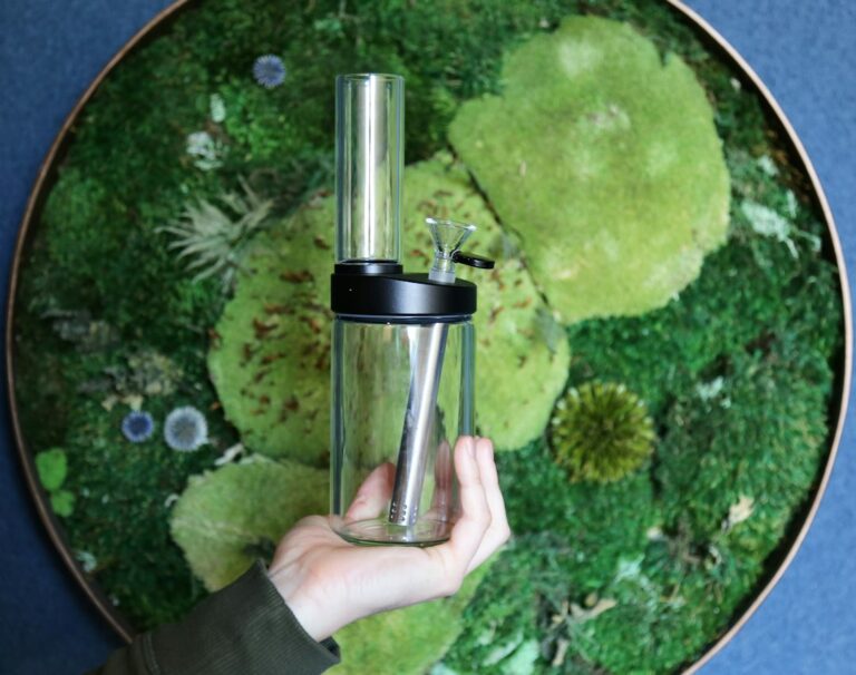 The Ultimate Guide to Choosing Your Perfect Portable Blender